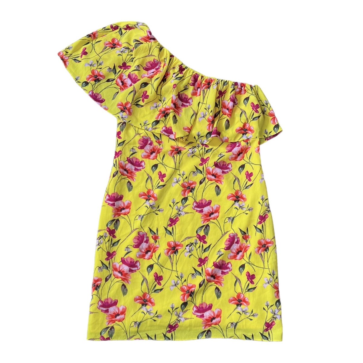 LAUREN RALPH LAUREN DRESS ワンピース　カラフル　6 Lauren Ralph Lauren Wandella Crinkle Georgette Floral V Neck