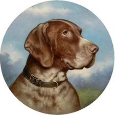 Hand painted oil painting beautiful animals dog in landscape Hand painted art