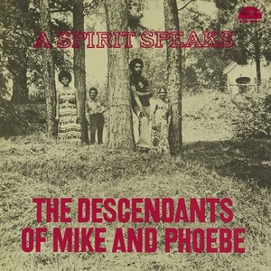 Bill Lee Descendants Of Mike And Phoebe The A Spirit Speaks Music CDs New