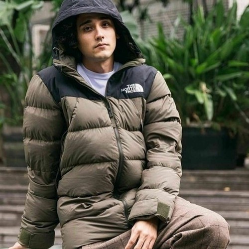 north face grey parka
