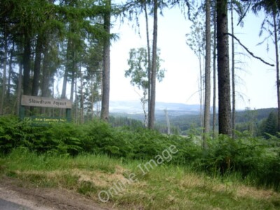Photo 6x4 Slewdrum Forest sign Bridge of Canny  c2009
