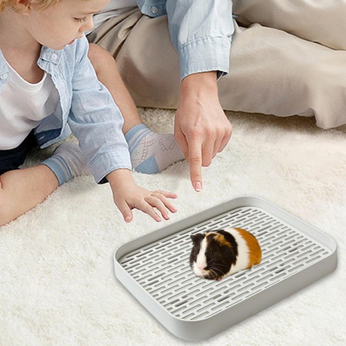 Rabbit Litter Box Training Pan Sturdy Rabbit Potty Box Pet fabulous - Picture 4 of 12