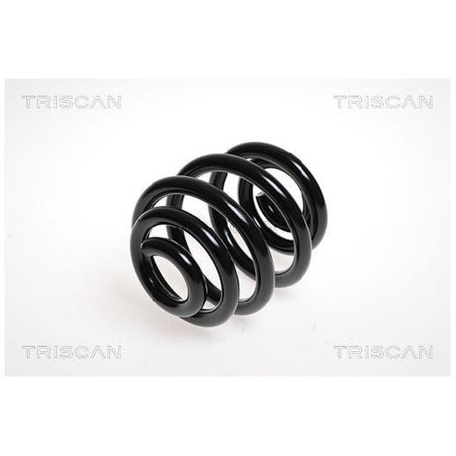 Fahrwerksfeder Hinten FüR Audi TT 8N 1.8 98 Bis 06 Triscan ARY Original-image