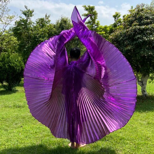 Transparent Iridescent Stage Egyptian Wings Belly Dance Isis Wings 300 Degrees - Picture 41 of 42