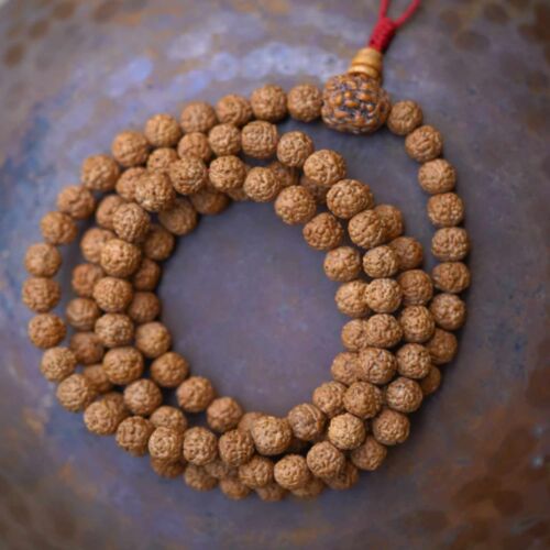 10mm Beautiful brown round Rudraksha bodhi Mala Yoga Bracelet Crafted - Photo 1 sur 7
