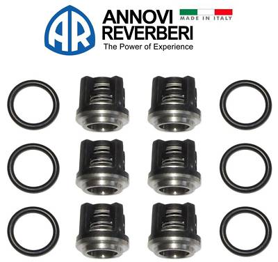 Original Annovi Reverberi 2864 CHECK VALVE KIT AR2864 RK, RKA, RR, RRA, RW, XRCA