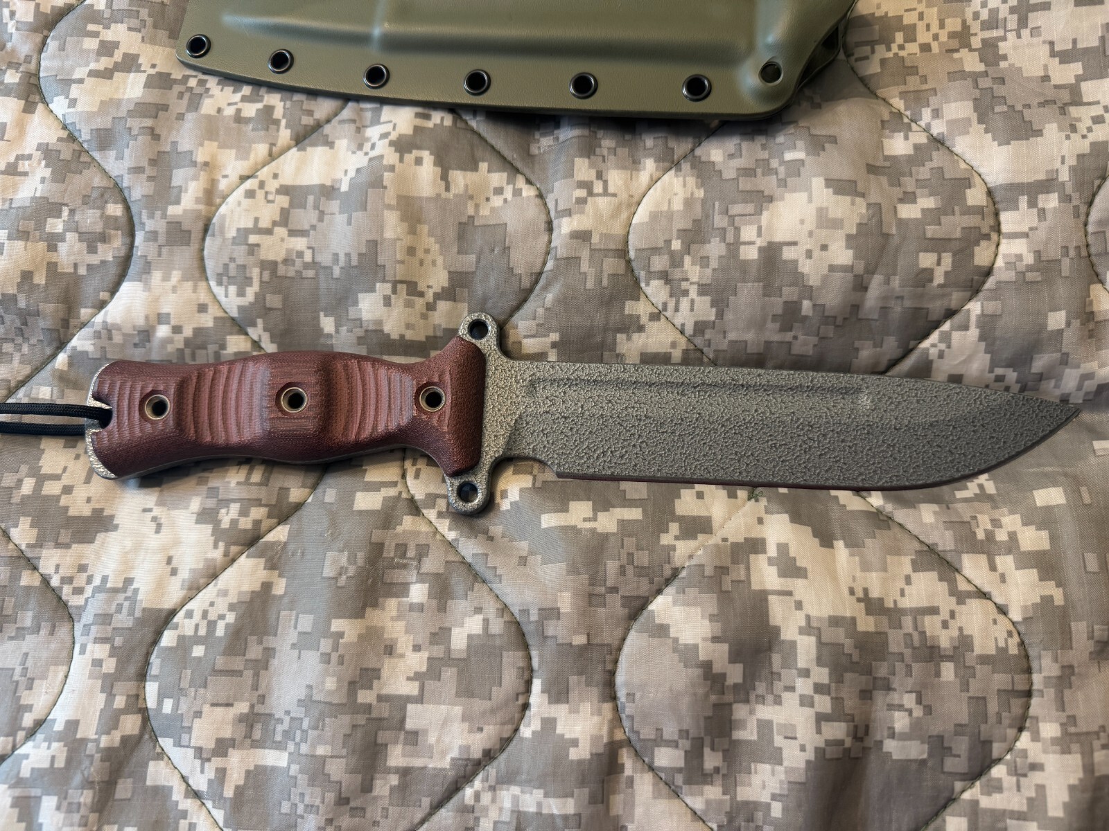 Busse Special Edition Gemini A2 | eBay