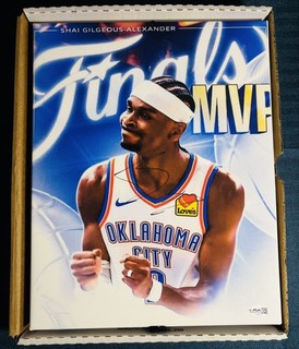 Shai Gilgeous Alexander Signed 11x14 Canvas JSA COA Auto OKC Thunder MVP NBA