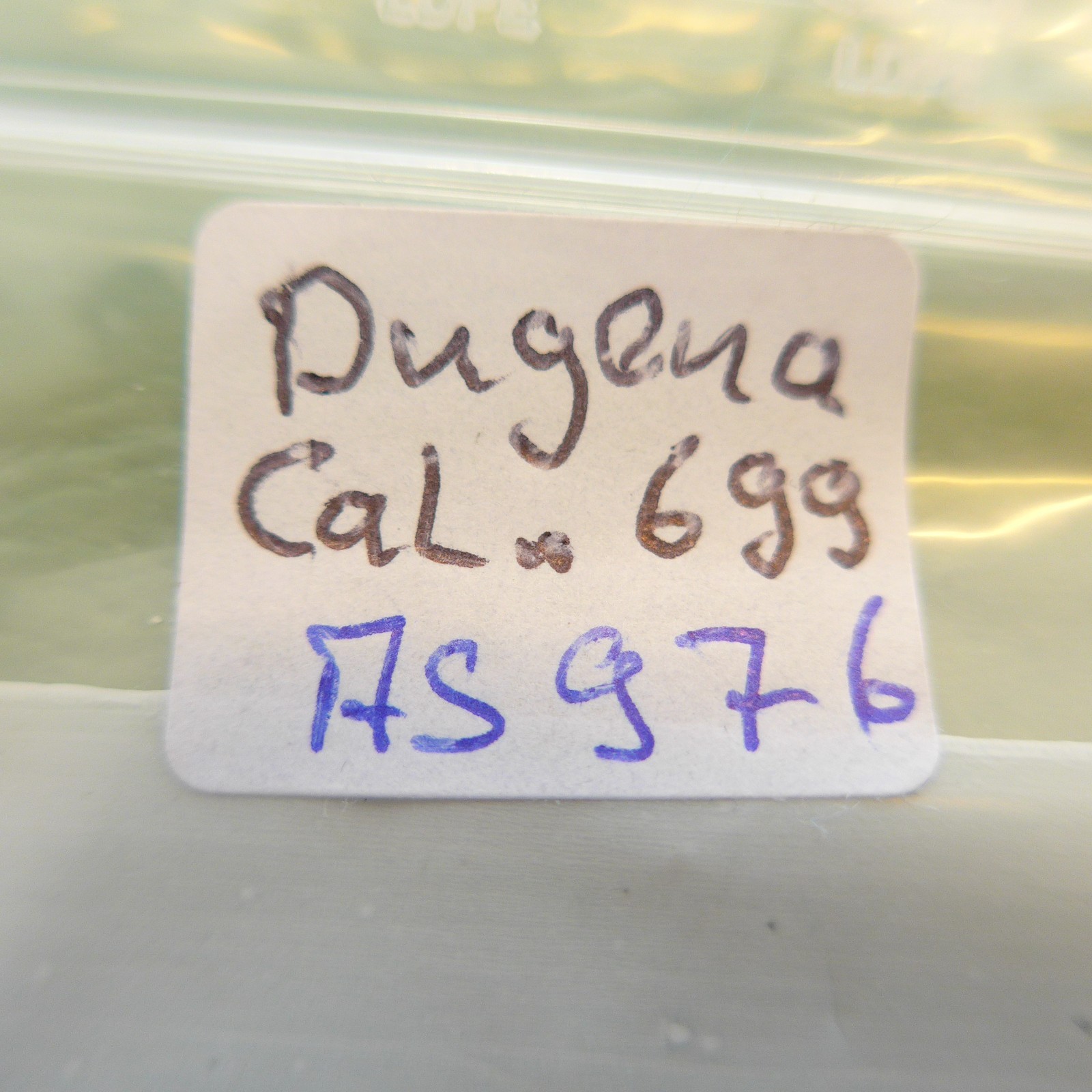 Dugena 699 / AS 976: Separate Function Movement S… - image 3