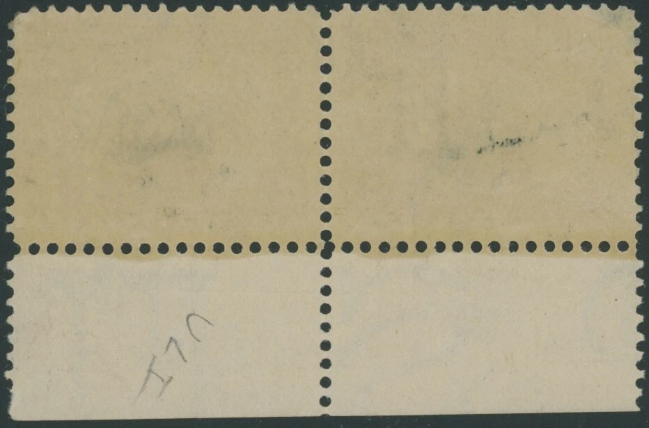 1901, USA PAN-AMERICAN EXPO, 4C ELECTRIC AUTO, PLATE NO. PAIR, NH, SC. #296 - Image 2 of 2