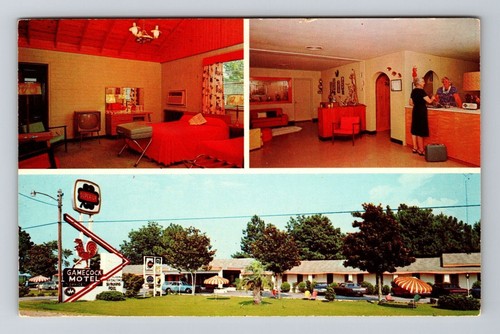 Santee SC-South Carolina, Gamecock Restaurant & Motel, Vintage Postcard
