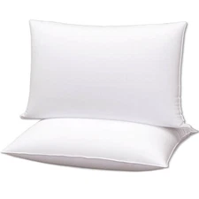 Gooeb Flat Ultra Thin Bed Pillows Standard Size Pillow Set of 2 Extra Soft Do...