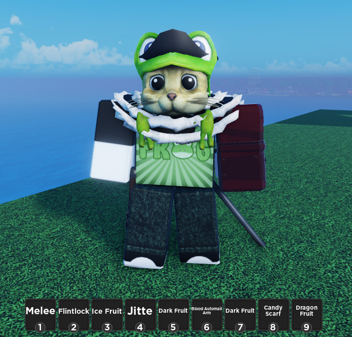 AOPG (Roblox) All Accessories and Items A One Piece Game - Read Desc