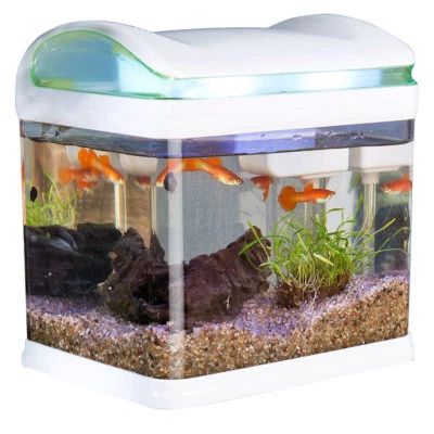 Sweetypet Transport-Fischbecken mit Filter, LED-Beleuchtung und USB, 3,3 Liter