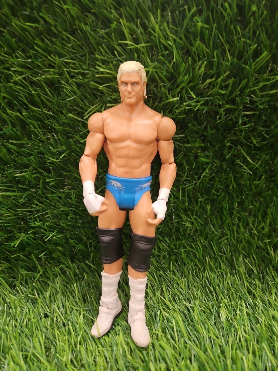 WWE Dolph Ziggler No Way Out Basic Wrestling Action Figure 2011 Mattel Toys R Us