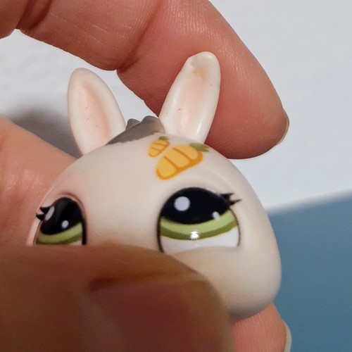 Littlest Pet Shop Bunny Rabbit 1855 Blythe Loves Harsbro Authentic Small Carrot - Picture 3 of 7