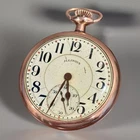 Illinois 19 Jewel Yellow Gold Antique Pocket Watch With Engraved Bird Scene