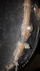 Picture 8 of 11