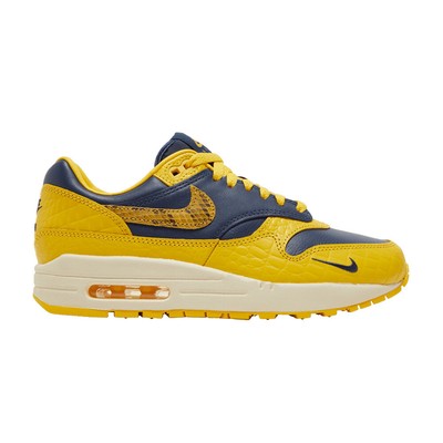 Nike Wmns Air Max 1 Premium 'CO.JP Tournament Winners' FJ5479-410
