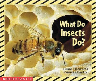 What Do Insects Do? (Science Emergent Reader) - Paperback - GOOD