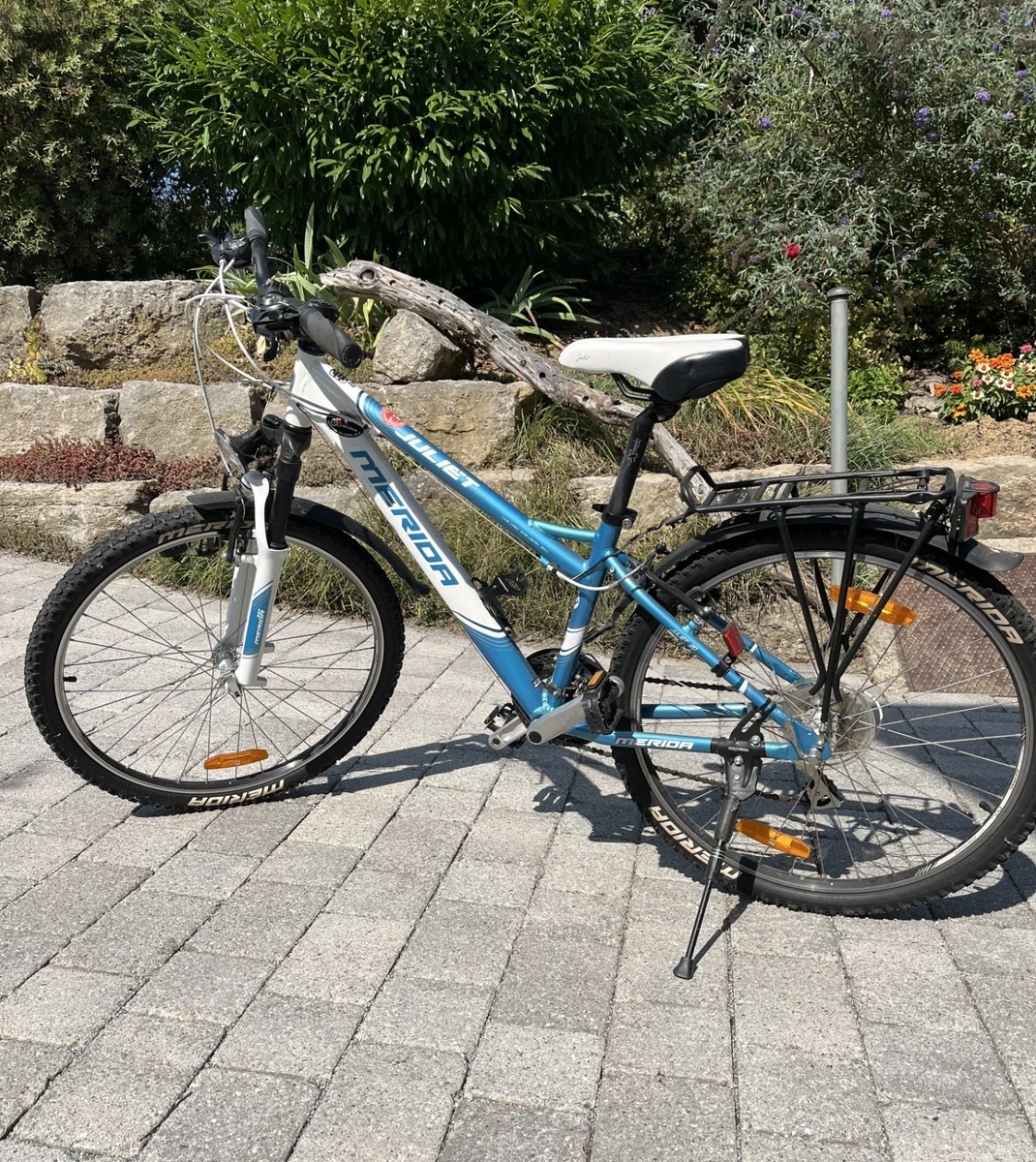 pogacar rennrad Colnago V5Rs Rennrad - Weltmeister Streifen