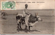 26407 cpa Afrique - Soudan - Boeuf Porteur