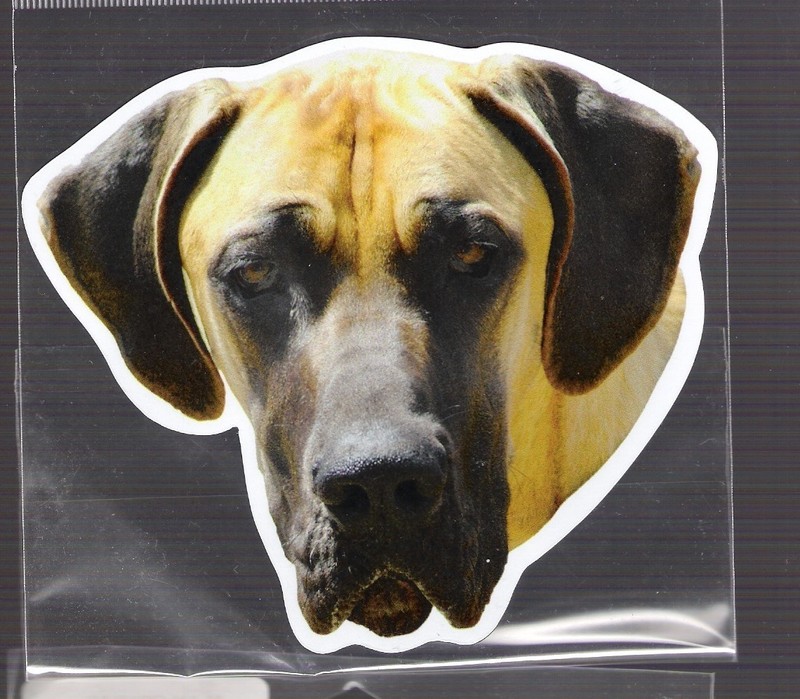 Great Dane 4 inch face magnet for car or anything metal     New