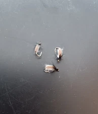 12 Colorado caddis one dozen size 18 fly fishing