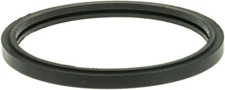Thermostat Seal   Gates   33619