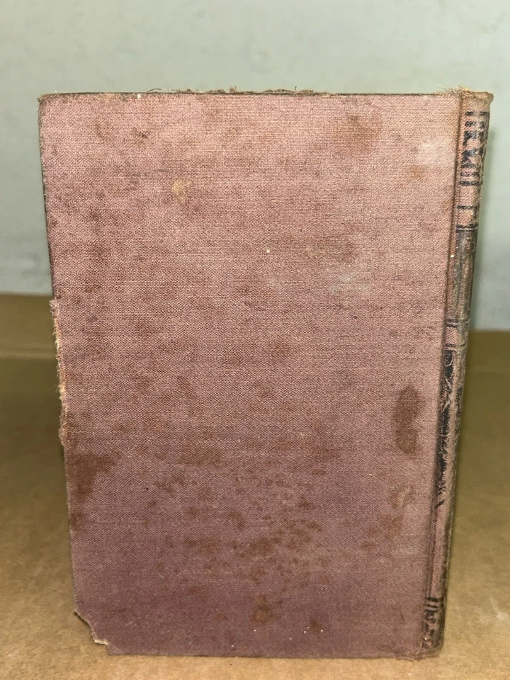 1875 Life & Adventures of Robinson Crusoe by Daniel Defoe Illustrated Edition - Image 2 of 4