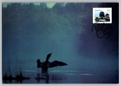 Canada 2012 Baby Wildlife Loon FDC Maxi Card