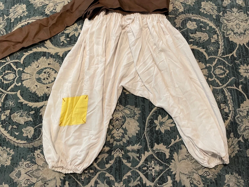 阿拉伯民间英雄阿拉丁灵感中号成人服装 — 第 2/4 张图片