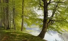 Oil painting christian peder morch zacho - landscape with trees by river canvas