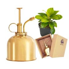 Brass Plant Mister: Fine Mist Spray Bottle for Indoor Tropical Houseplants