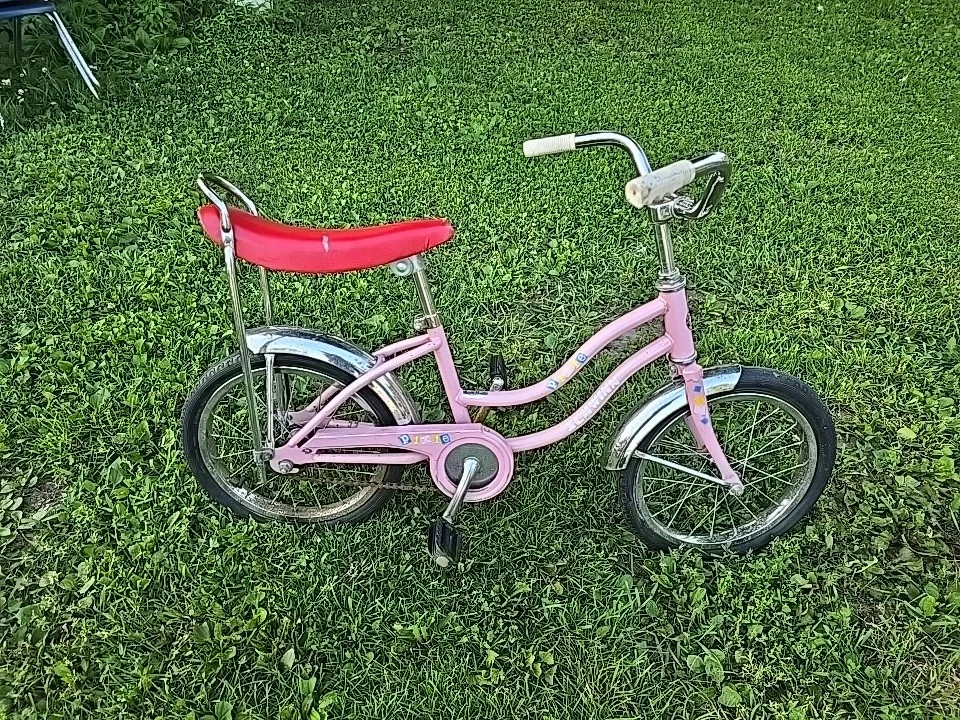 Schwinn 16