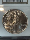 1988 American Silver Eagle NGC Graded MS69 Brown Label