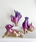 Boston Terrier Cute Display, Boston Terrier Lover, Dog Lover, Yoga, 3D Print