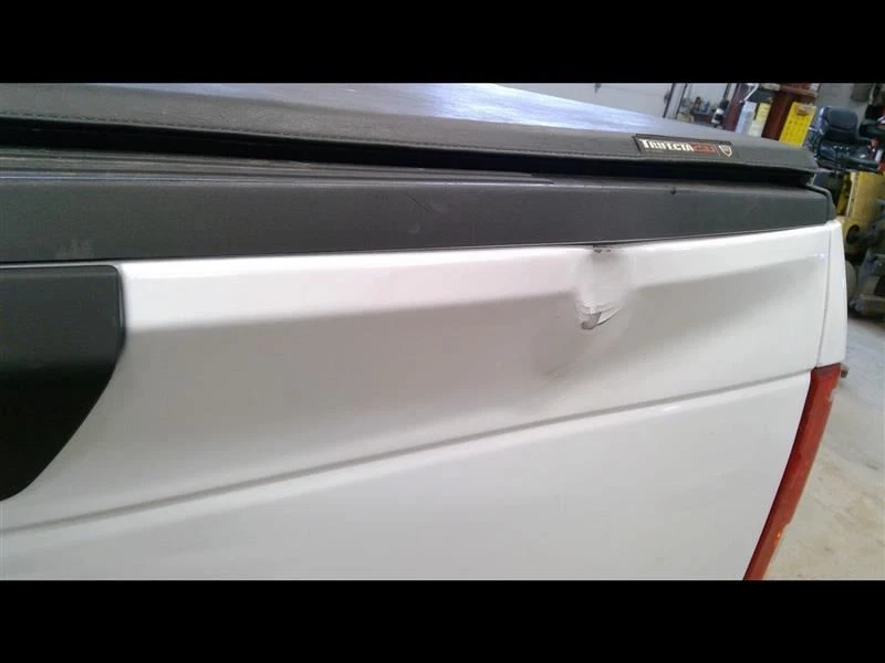 Puerta trasera blanca sin escalón de puerta trasera para camioneta Ford F150 15 16 17~~~~~~~~~~~~~~~~ Foto 2 de 4