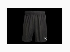 Puma Team Shorts Black 701275-03