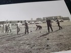 ELVIS PRESLEY 1956 PLAYING FOOTBALL  PHOTOS  SET  1950S  ELVIS — photo 10