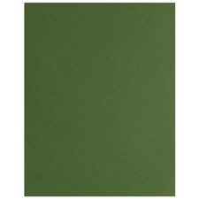 PA Paper Accents Stash Builder Cardstock 8.5" x 11" BParrot, 65lb colored