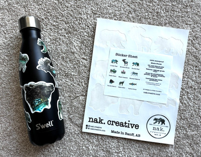 S'well ONE OF A KIND Canadian Rockies Black Water Bottle 17 oz Stainless Steel
