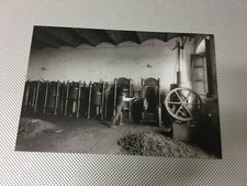RIPRODUZIONE FOTO ALINARI FRANTOIO TENUTA RICASOLI TOSCANA 12X18 cm 1917 (3) 
