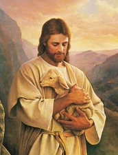 Jesus Carrying a Lost Lamb 8x10 Photograph Christian Art