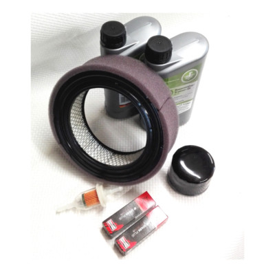 Überholsatz für Briggs&Stratton V Twin 358777 543477 541477 Service Kit 692519