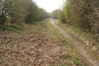 Photo 6x4 Grimsby Road Swallow The old road at Swallow, obsolete since th c2011