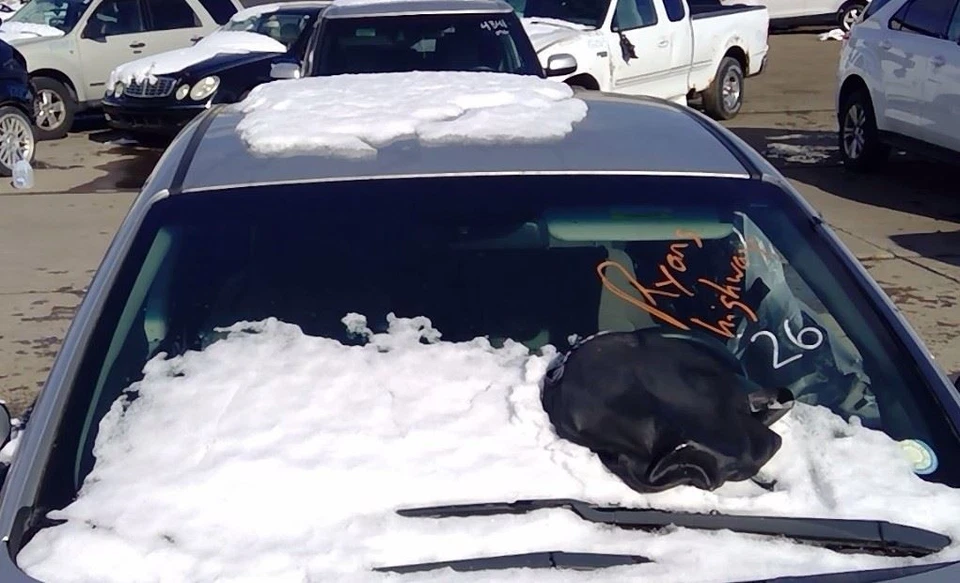 Hatchback con control de temperatura para 14-16 FORTE 2394203 Foto 3 de 4