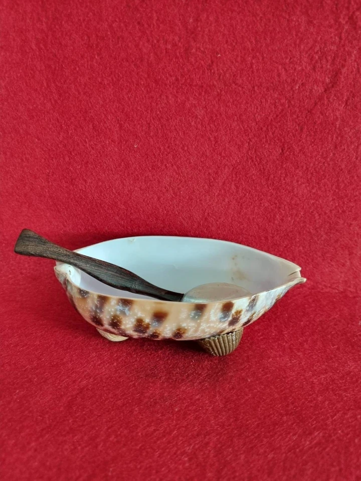 套装鲍鱼壳碗托盘拖把勺子木柄供应晚宴复古 — 第 4/4 张图片