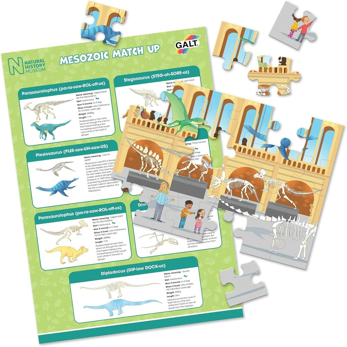 Bekecidi 12 Pezzi Modelli Umani Primitivi e Mini Set di Giocattoli Animali della Giungla, Realistico Animali Selvatici Figura per Bambini e Adulti Gioco Educativo Scientifico