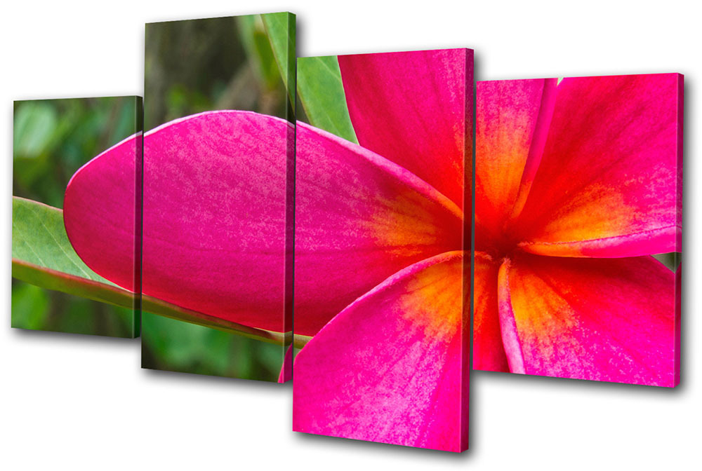 Floral Flowers BOTANICAL MULTI CANVAS WALL ART Picture Print VA